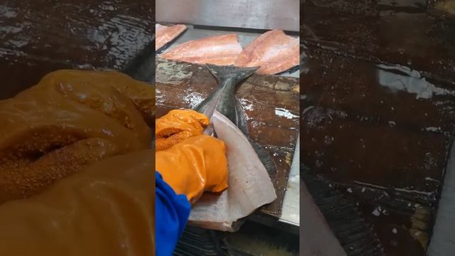 Разделка белокорого палтуса (Halibut cutting) смотреть онлайн
