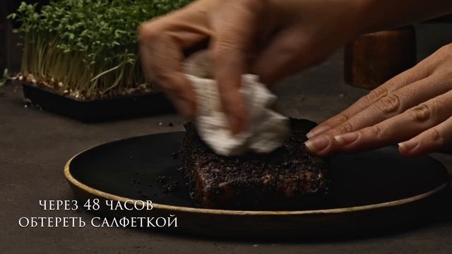 Бизнес-Советы и Инструкции