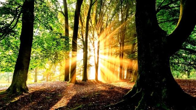 Начало телепатического общения. Практики.