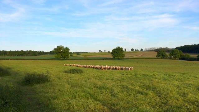 Разговоры со зверьём - Велотур по Бургундии, Франция