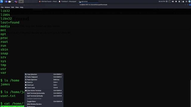 HackTheBox CTF Boot-2-Root - Knife Walkthrough OSCP with InfoSec Pat 2022 смотреть онлайн