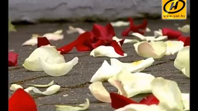 Цыганская свадьба-перфоманс в Минске: заказывали необычное? смотреть онлайн