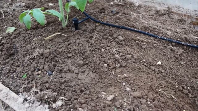 Капельница на ножке. Сайт www.polivalka.su смотреть онлайн