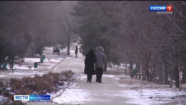 В Волгограде стартует благоустройство проспекта Жукова смотреть онлайн