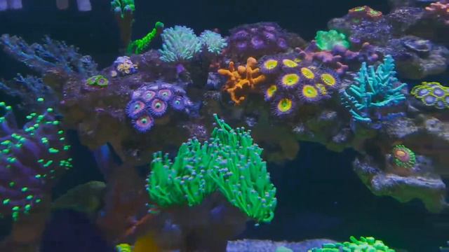 Море 200 л смотреть онлайн