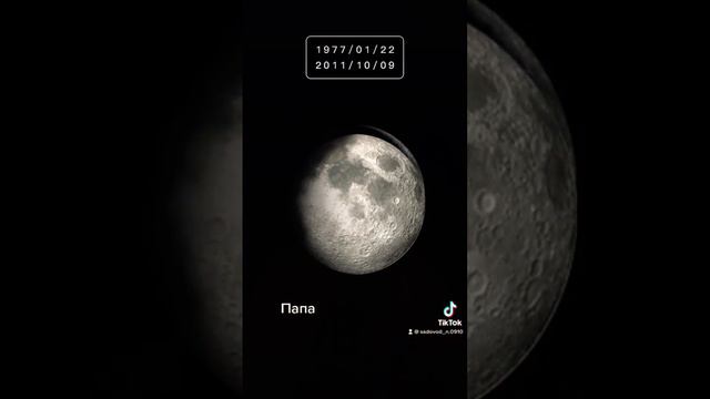 Фазы луны смотреть онлайн