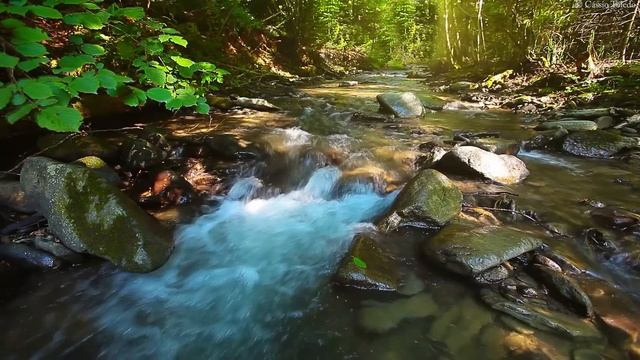 Música Relaxante: Flauta Indígena E Sons Da Natureza -  Acalmar A Mente E Relaxar