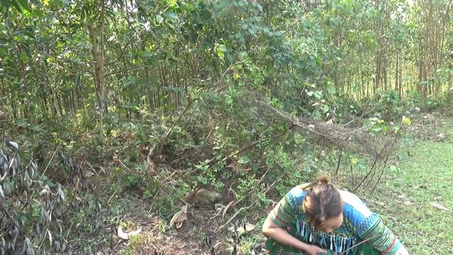 Primitive Life - Cooking Eggs Meet Forest People - Survival In The Rainforest