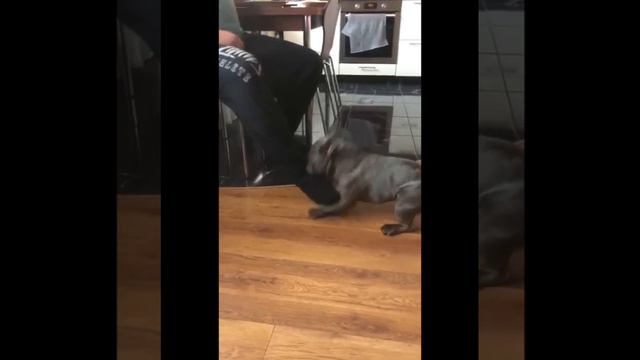 Я здесь за эту улицу стою. Пацаны мне всё, и я всё пацанам. Кто меня знает, тот в курсе. смотреть онлайн