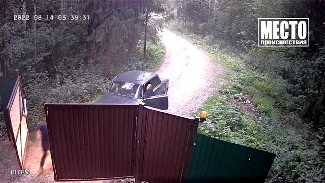 Открывай ворота, приехала суета! смотреть онлайн