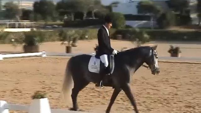 CAMPEONATO DE ANDALUCIA DOMA CLASICA 2010 - REPRISE DE ROSMARINUS смотреть онлайн