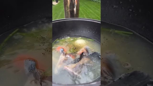Уха на костре- классика лета?? смотреть онлайн