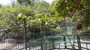 Пляж военного санатория "Ялта"