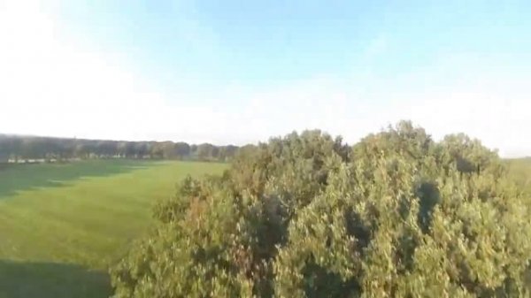 Полноценный FPV Квадрокоптер / Eachine Wizard X220 (S). Стойкий к Крашам, для Отрыва.