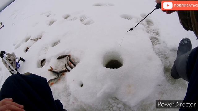 рыбалка на мормышку, ловля окуня и плотвы, хороший клев в глухозимье #ловля#окуньнамормышку#плотва смотреть онлайн