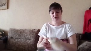 Как прясть собачью шерсть// часть 2// чесание шерсти