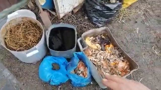 Разведение сенной палочки без затрат дома смотреть онлайн