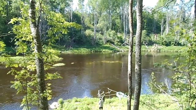 Река ловать, Новгородская область, строим баньку смотреть онлайн