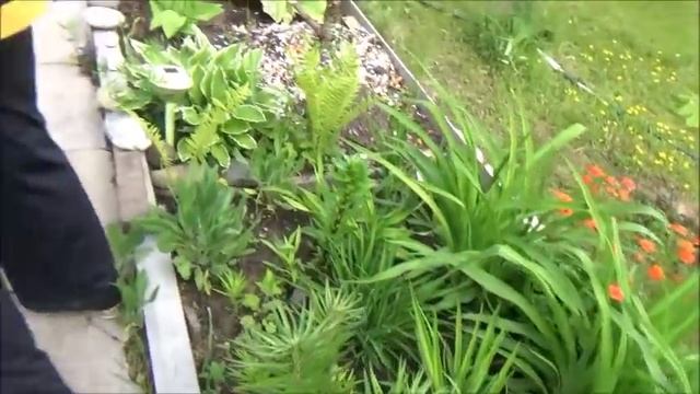 Дача. Влог. Дела дачные. В гостях. Каменный садик. смотреть онлайн