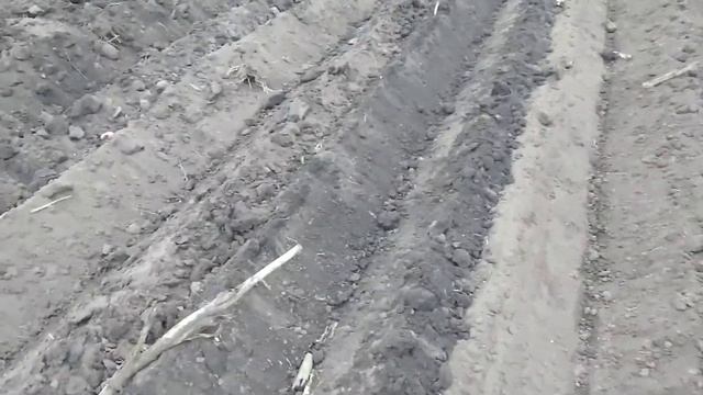 посадка картошки cаджалка крн 5.6 смотреть онлайн