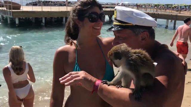 Funny Monkey and Beauty Priscilla Castillo on the beach of San Kitts. Caribbean. December 39, 2019 смотреть онлайн