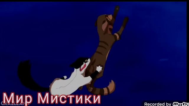 Темнохвост- коты воители смотреть онлайн