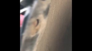 Opel Corsa D замена лампы ближнего света