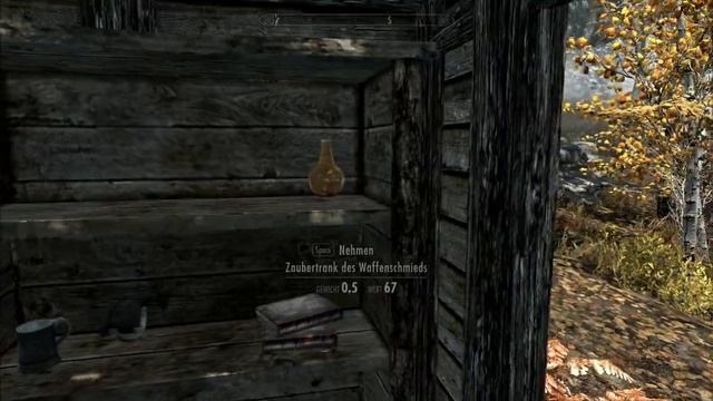 Let's Play Skyrim (German) #019 - Die verlassene Hütte im Wald смотреть онлайн