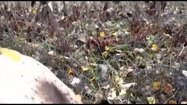 На крючке: рыболовные приключения