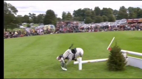 Падения лошадей и всадников Конкур, Выездка!