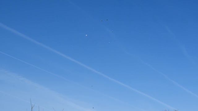 Выходные в стиле моды