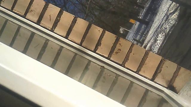 Частичный облёт пчёл из городской квартиры. 30.03.2018 Ленинградская обл. смотреть онлайн