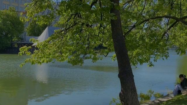 Путешествие из Петербурга в Москву/ VLOG смотреть онлайн