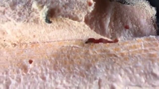 Утеплитель термоплекс. Вот и утепляй после такого смотреть онлайн