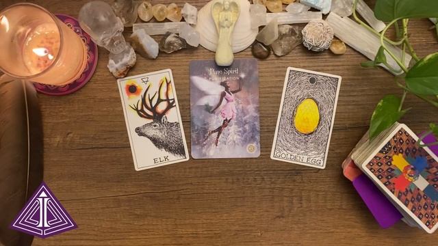 Awakening Purification смотреть онлайн