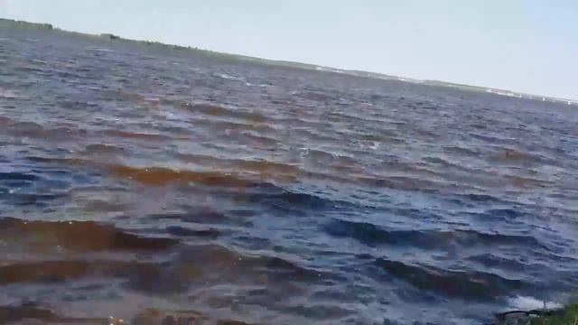 Рыбалка на берегу реки Обь!!!! СУРГУТ 2018г смотреть онлайн