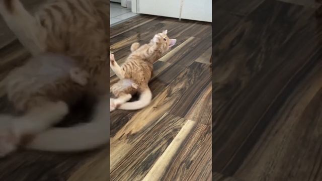 Я ЕЩЁ И НА МАШИНКЕ ВЫШИВАТЬ УМЕЮ? смотреть онлайн