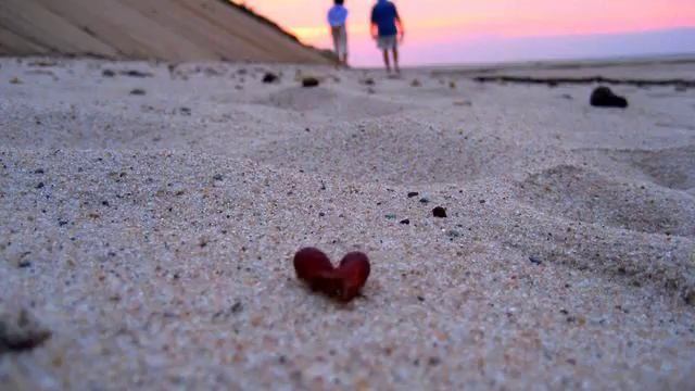 Музыка от стресса. Хит осени! Поднимает настроение! смотреть онлайн