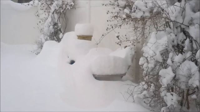 NORIKO ROBIN WIG, CUT INTO A LONG BOB/SNOW KEEPS COMING смотреть онлайн