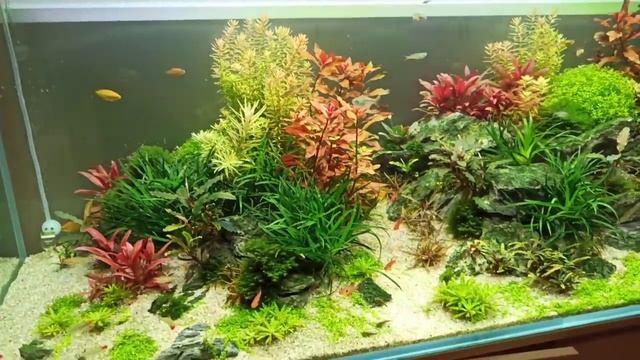 350 литров домашнего уюта. смотреть онлайн