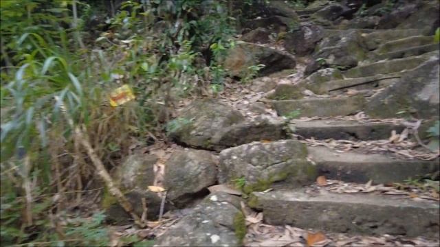 НЕТУРИСТИЧЕСКАЯ УНАВАТУНА: ТАЙНЫЙ ПЛЯЖ: ДЖАНГЛ-БИЧ смотреть онлайн