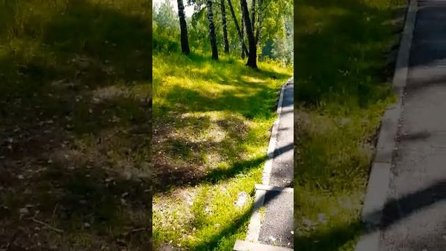 Красивый парк п.Трудармейский( 3 выпуск) смотреть онлайн