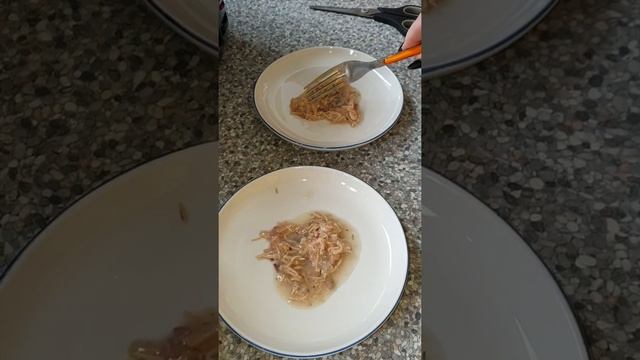 Feeding Casper & Laurel gluten free food. #glutenfree #cats #applaws смотреть онлайн