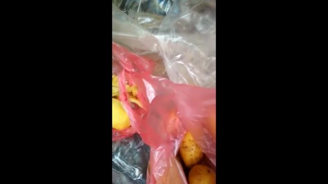 Картошка сорт ЛУКАШЕНКО!!!! смотреть онлайн