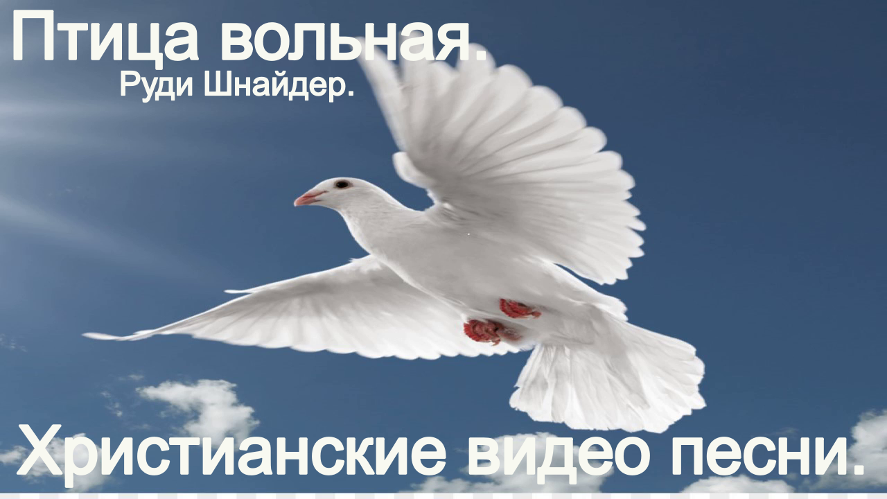 Птица вольная.(Руди Шнайдер.)Христианские видео песни. смотреть онлайн