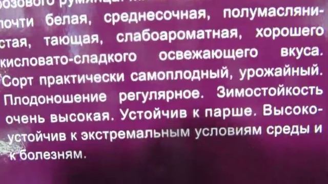 ОБИ - саженцы плодово-ягодных деревьев и кустарников. Сорт и описание. смотреть онлайн