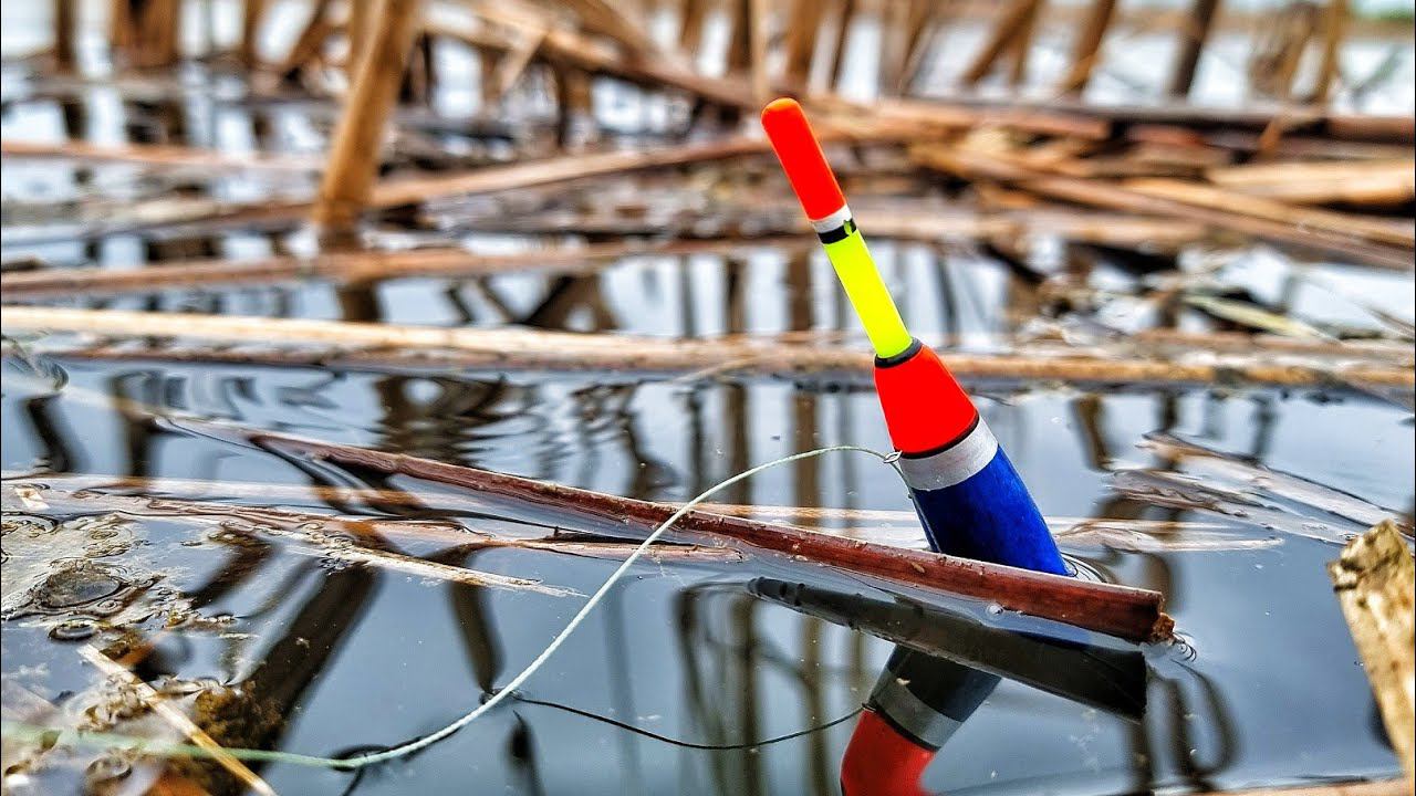 ДИКИЕ КАРАСИ НА ПОПЛАВОК в КАМЫШАХ! НЕВОЗМОЖНО ОСТАНОВИТЬСЯ! ОТКРЫТИЕ НА УДОЧКУ! смотреть онлайн