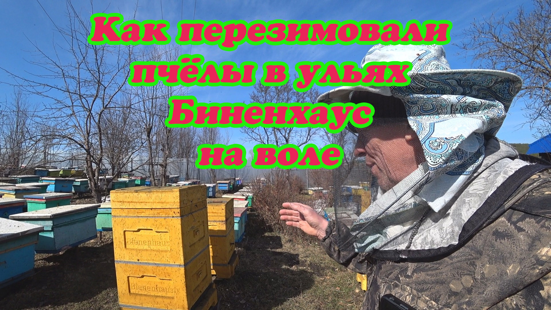 КАК ПРОШЛА ЗИМОВКА В УЛЬЕ БИНЕНХАУС НА ВОЛЕ В СУРОВЫХ УСЛОВИЯХ УРАЛА. смотреть онлайн