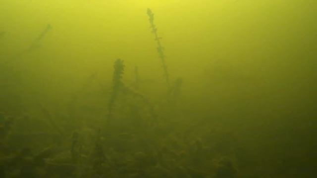 1е карты март 2021 смотреть онлайн