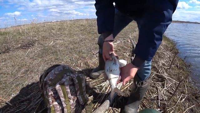 Ловля на поплавок и донку весной.Рыбалка на поплавок 2021. смотреть онлайн